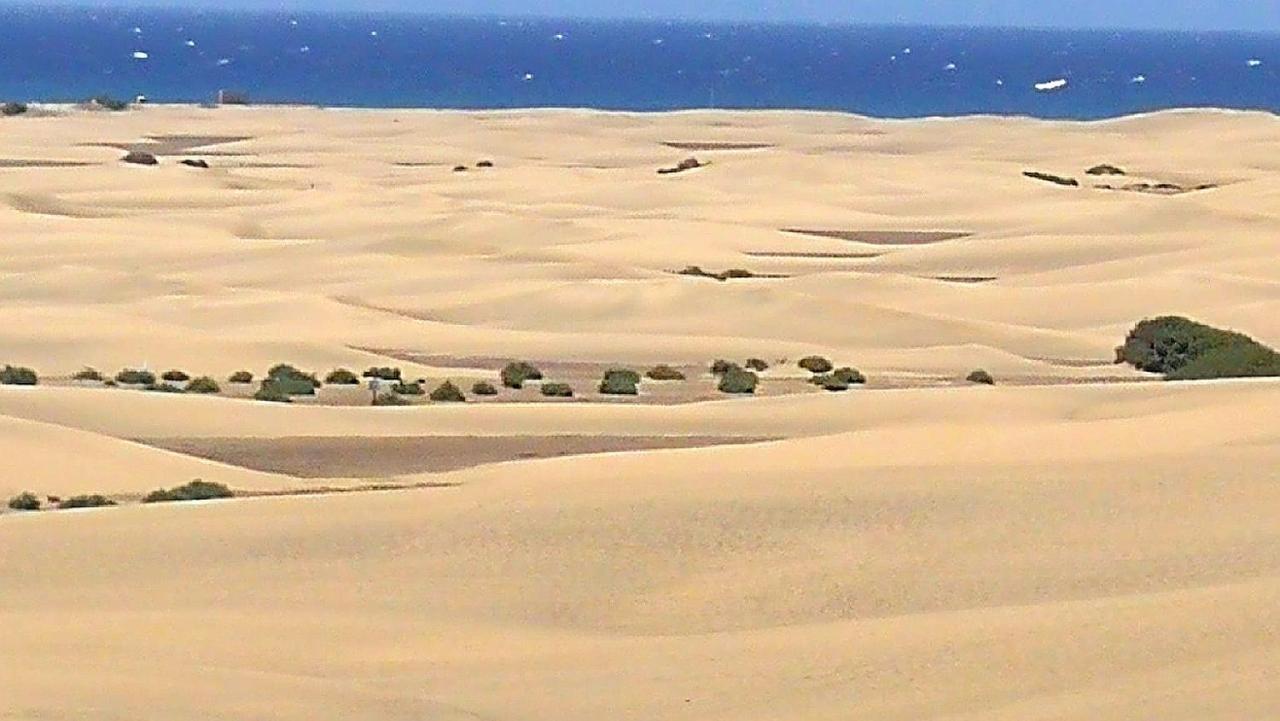 Apartmán Top1 Green Sea Bungalow Jardin Maspalomas  Exteriér fotografie