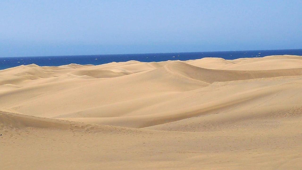 Apartmán Top1 Green Sea Bungalow Jardin Maspalomas  Exteriér fotografie