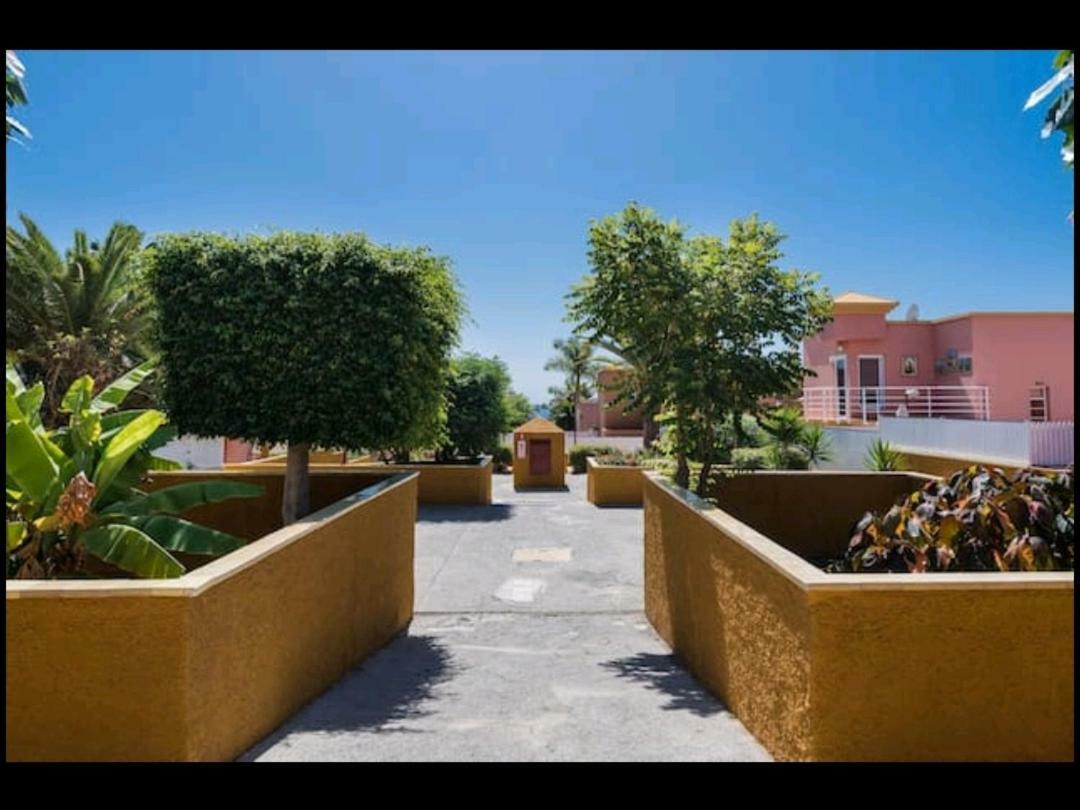 Apartmán Top1 Green Sea Bungalow Jardin Maspalomas  Exteriér fotografie